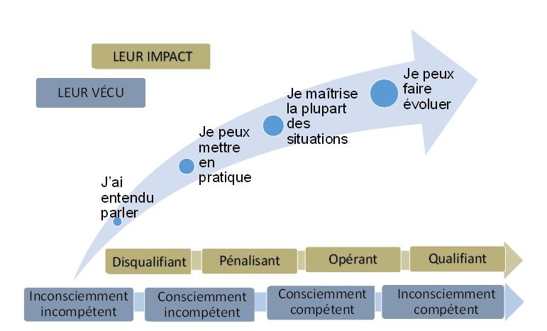  Shéma compétences IT de Monique Pierson